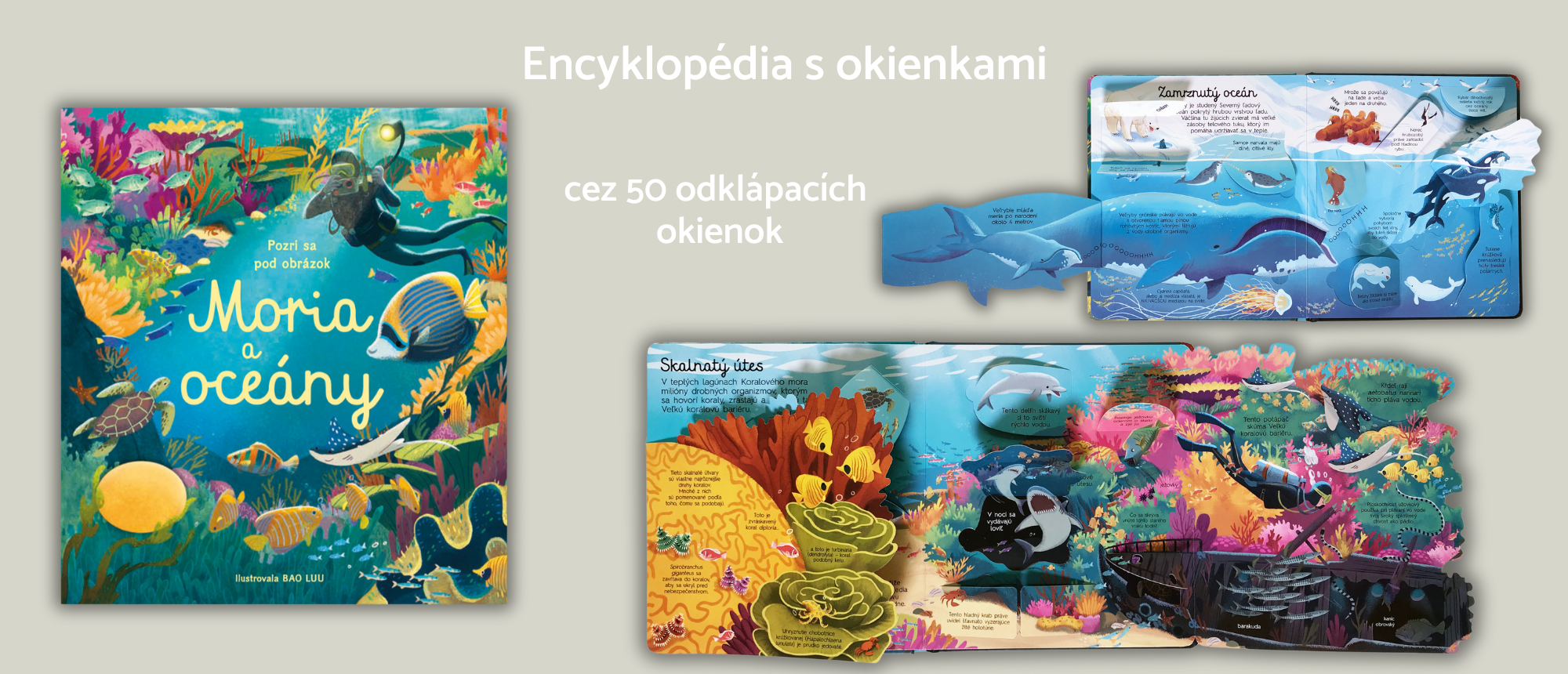 Encyklopédie s okienkami